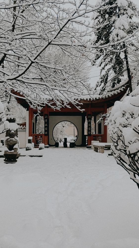 Photograph by Ольга Леонова