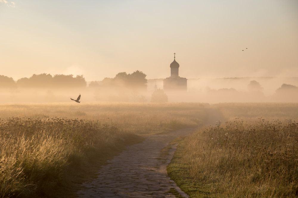 Photograph by Алексей Корнеев