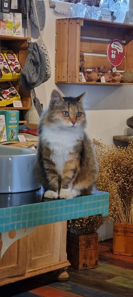 Фотография автора Марина Карасева