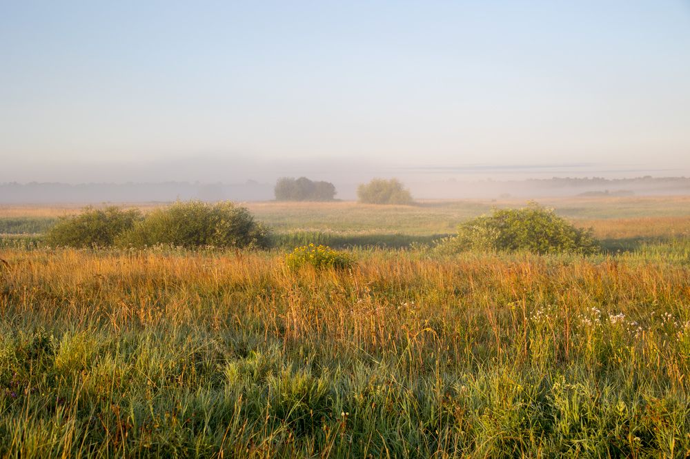Фотография автора Алексей Корнеев
