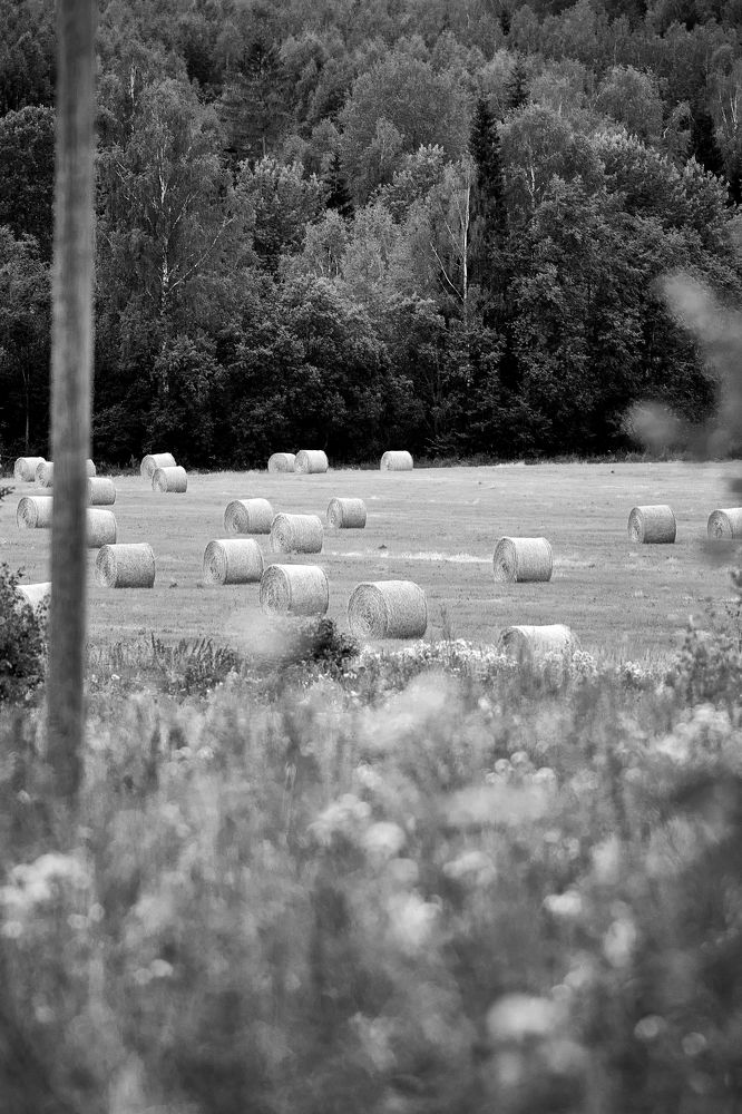 Фотография автора Александр Жданов