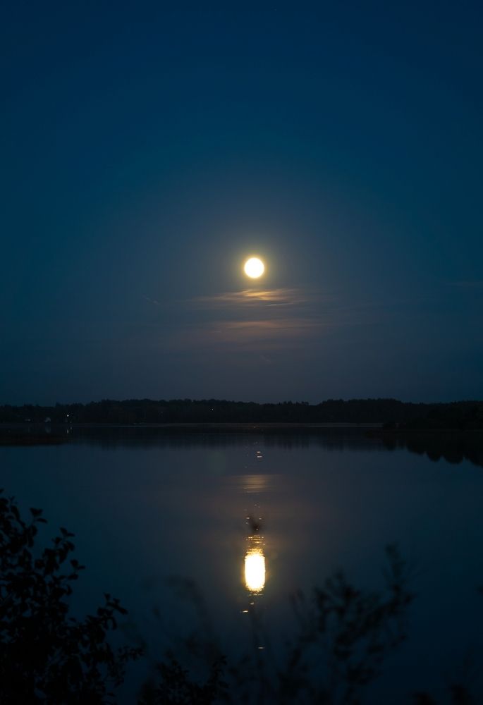 Photograph by Екатерина Одинцова