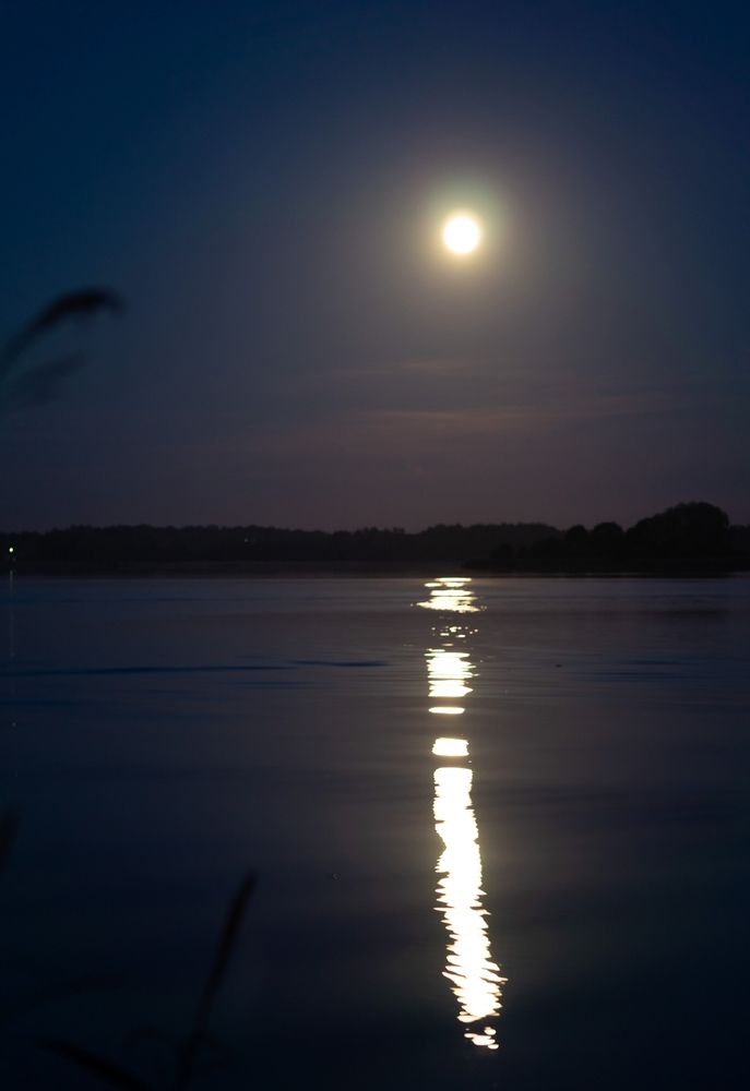 Photograph by Екатерина Одинцова