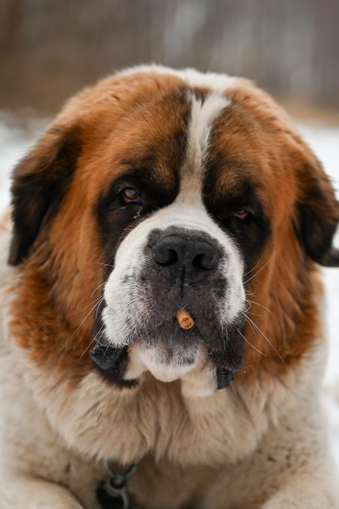 Photograph by Алексей