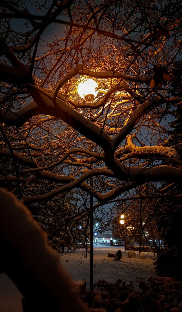 Photograph by Наташа Шибаева