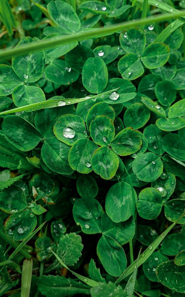 Photograph by Наташа Шибаева