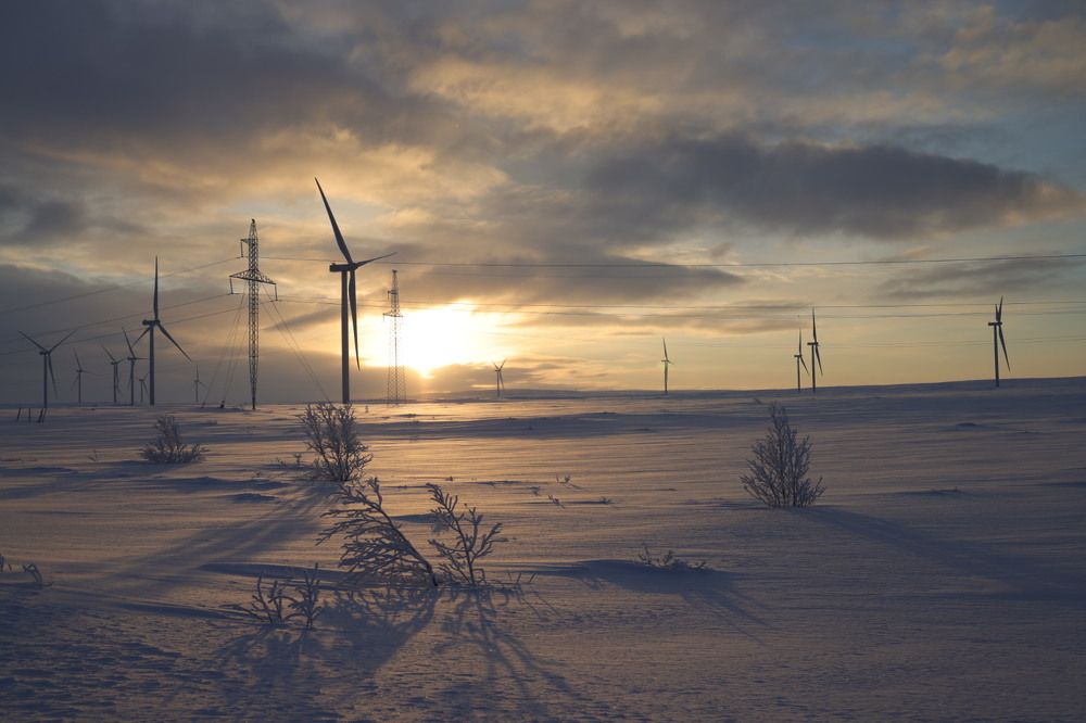 Photograph by Ольга Одаренко