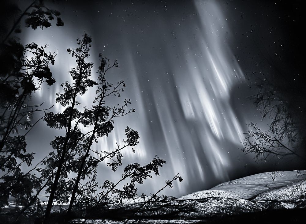 Photograph by Елизавета Нефедова