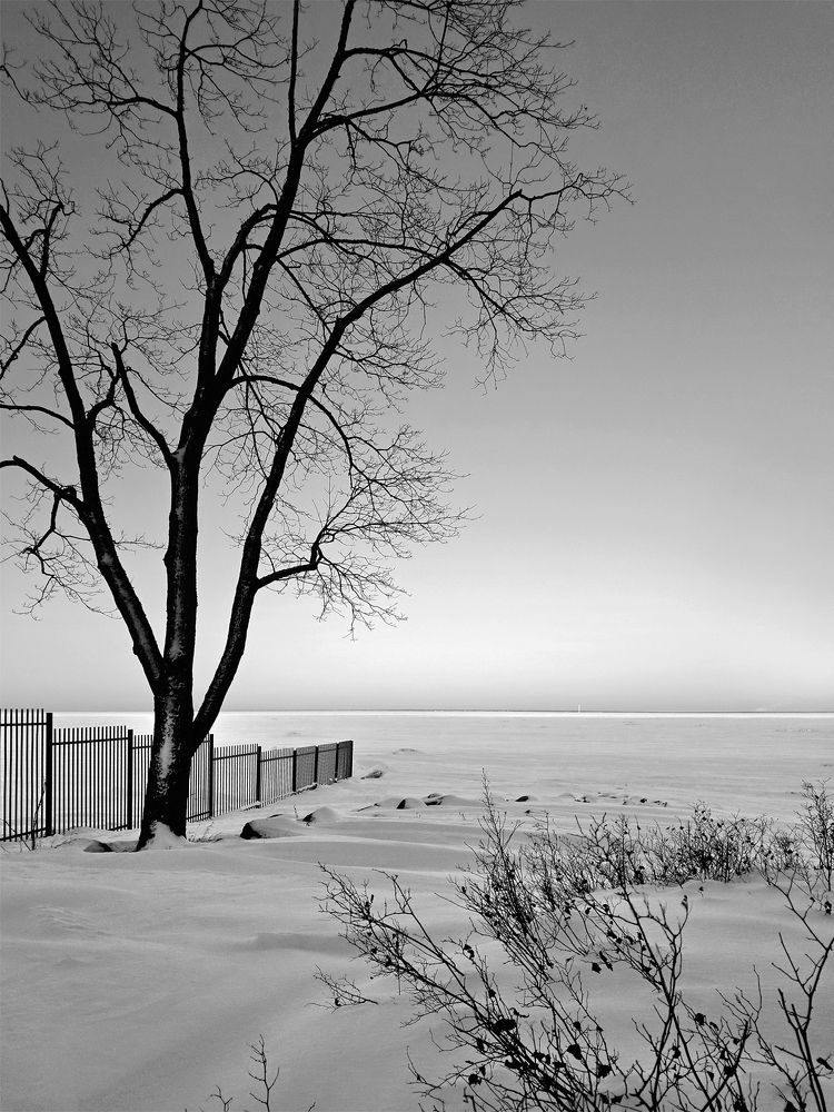 Фотография автора Александр Далла