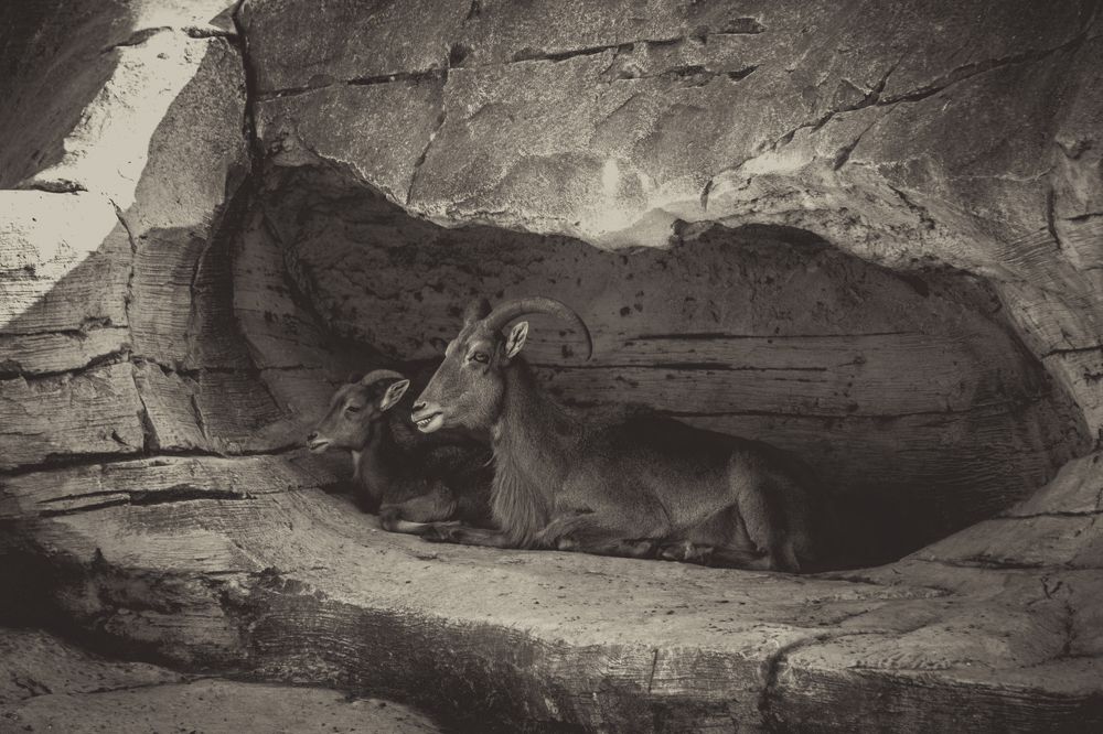 Photograph by SOUFIANE EL KADAOUI