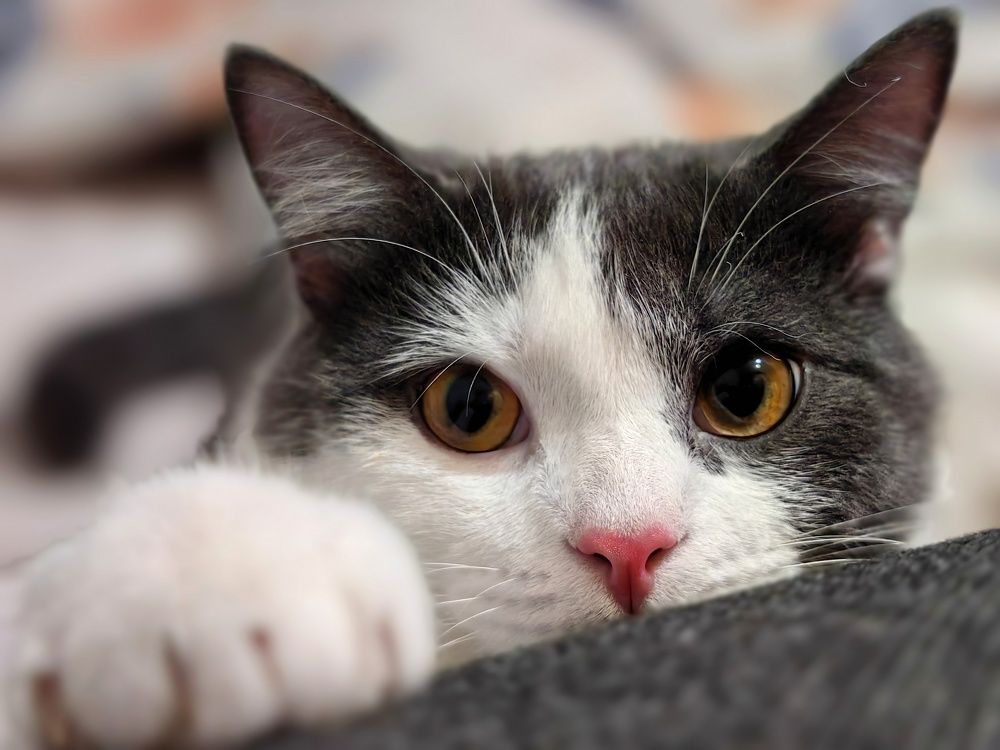 Photograph by OLGA MIKHNEVICH