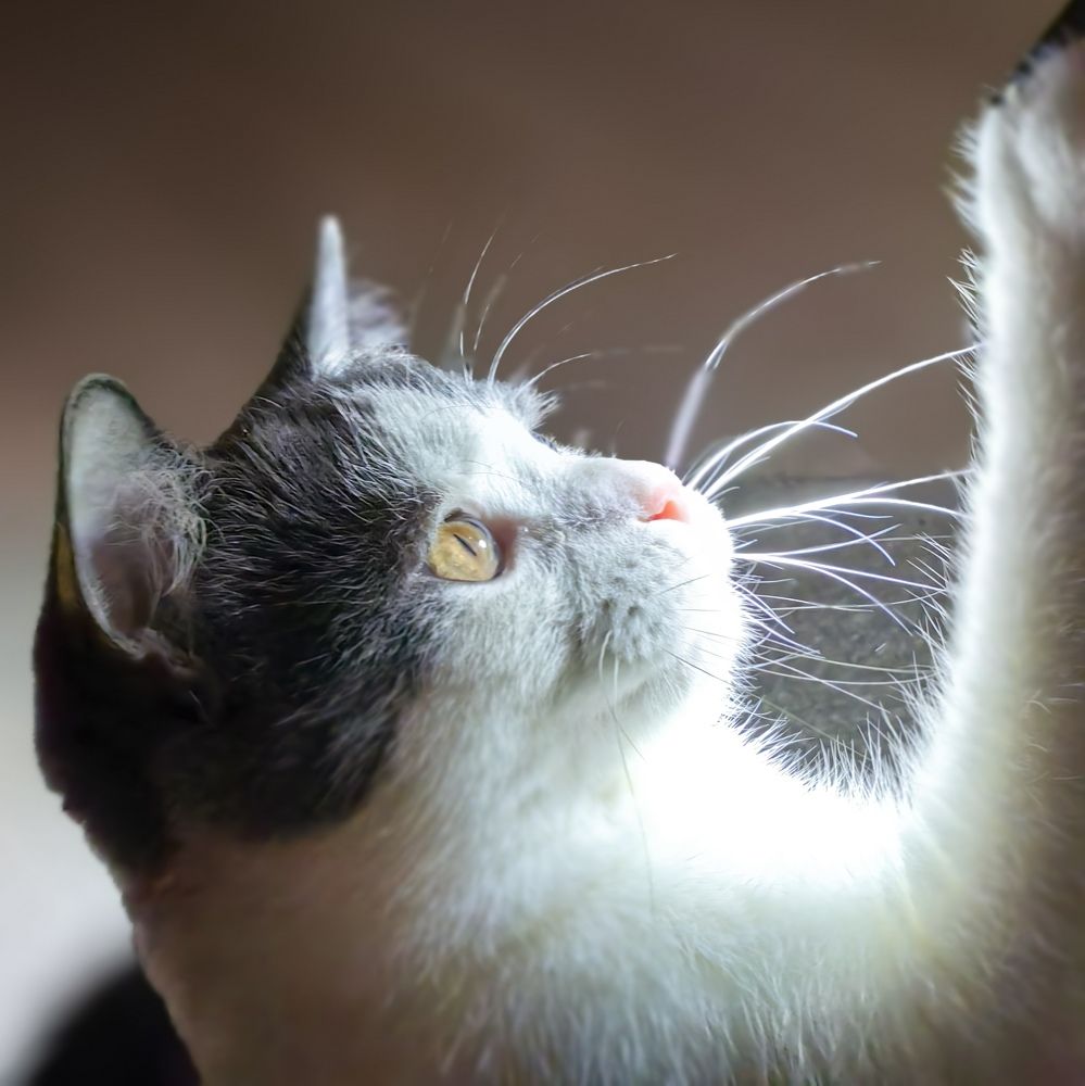 Photograph by OLGA MIKHNEVICH