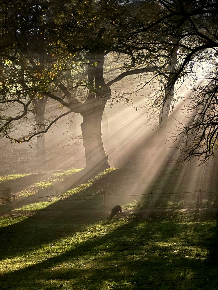 Photograph by Iryna Zakharchenia