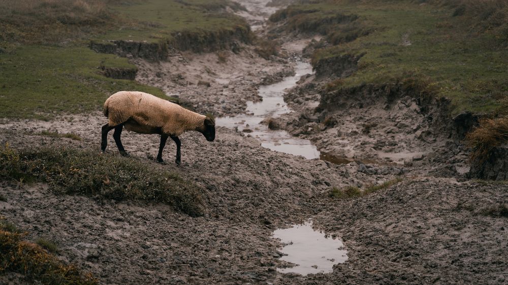 Photograph by Oleg