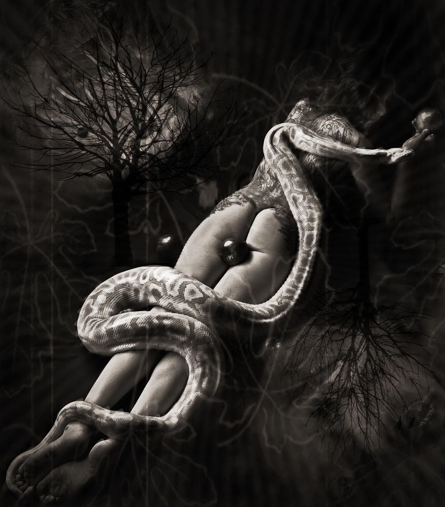 Photograph by Румен Сомов