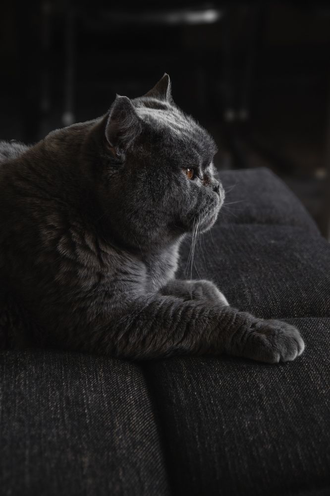 Photograph by Julia Smilovitsky