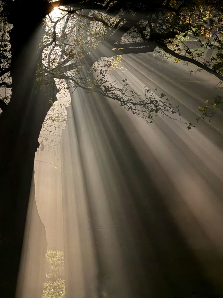 Photograph by Iryna Zakharchenia