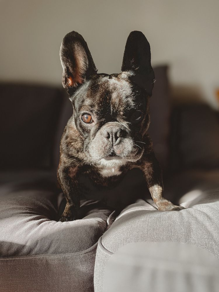 Photograph by Julia Smilovitsky