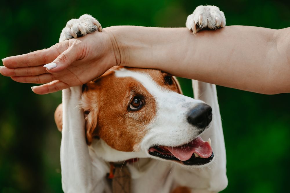 Фотография автора Алена Ковалёва