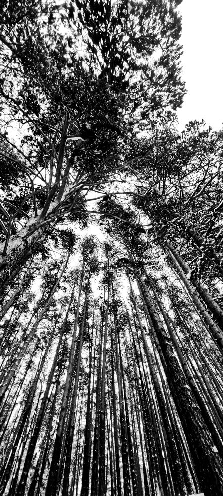 Photograph by Юлия