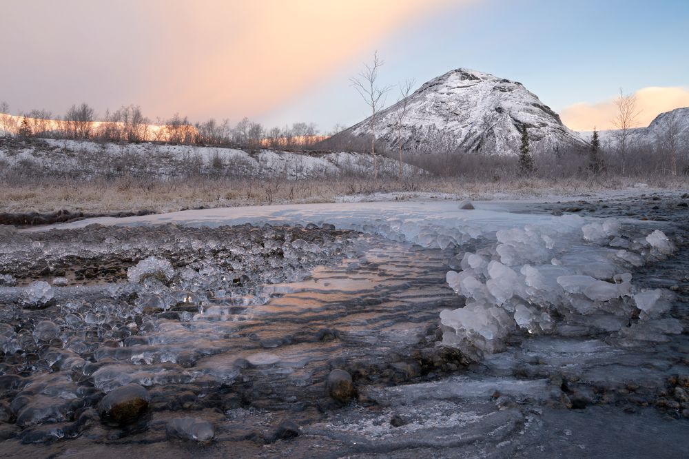 Фотография автора Olga Sarieva