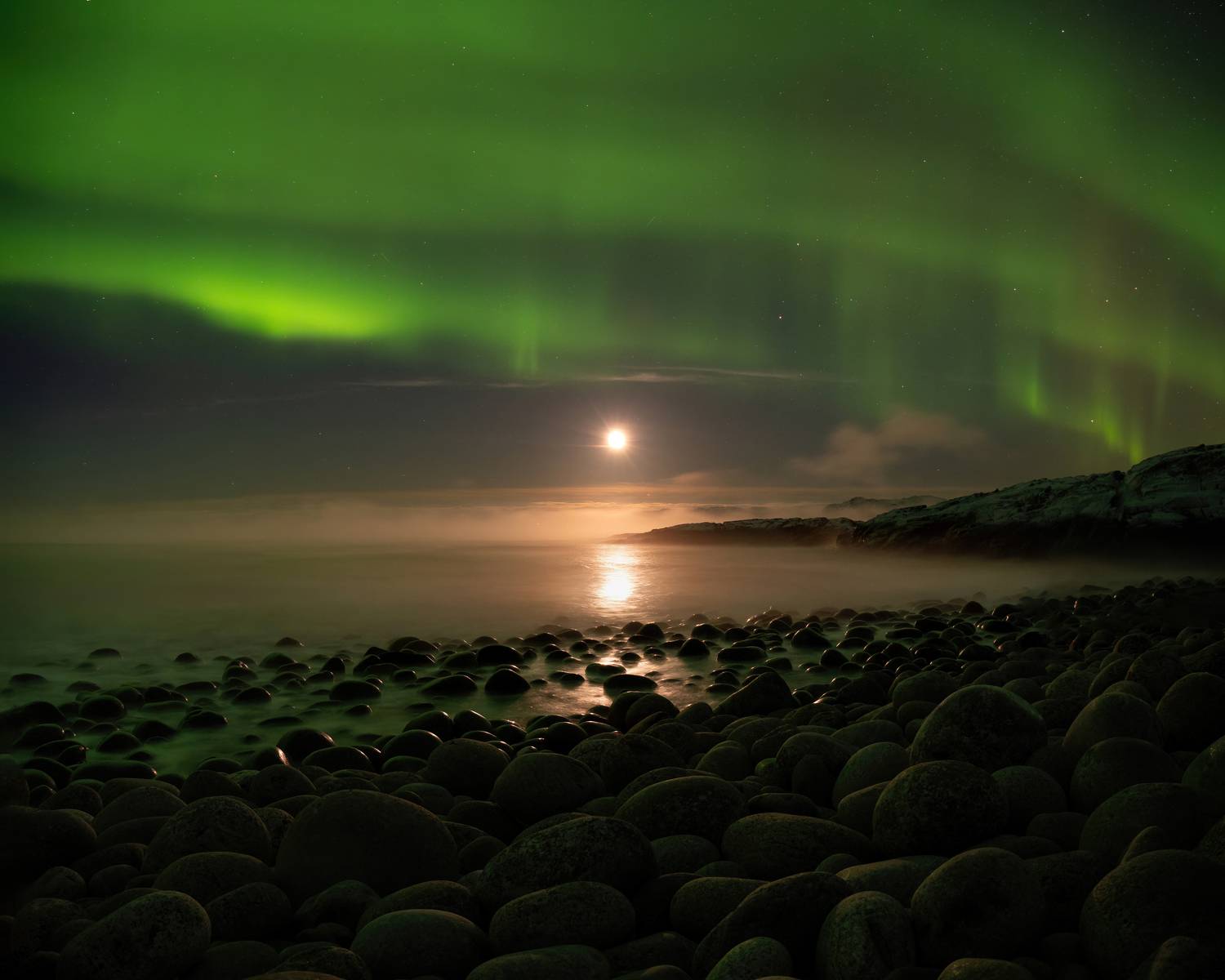 Фотография #11550446