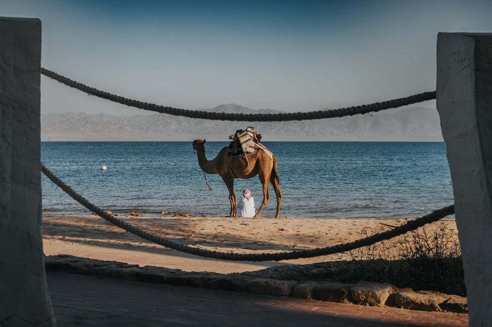 Photograph by Motaz Gohar