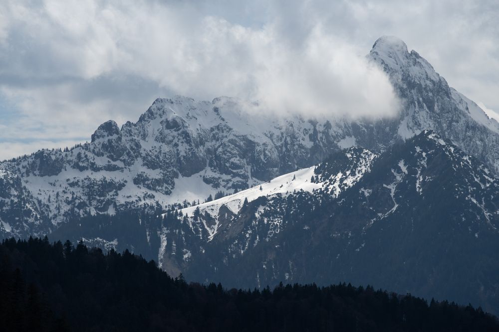 Фотография автора Olga Sarieva