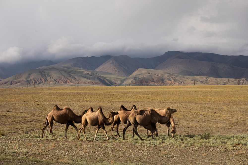 Photograph by Иванов Александр