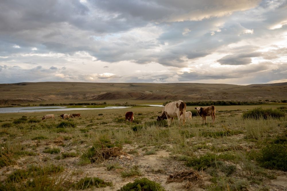 Photograph by Иванов Александр