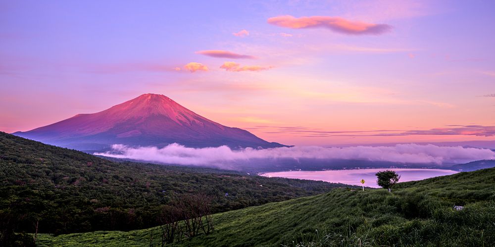 Фотография автора Uesan Aliace