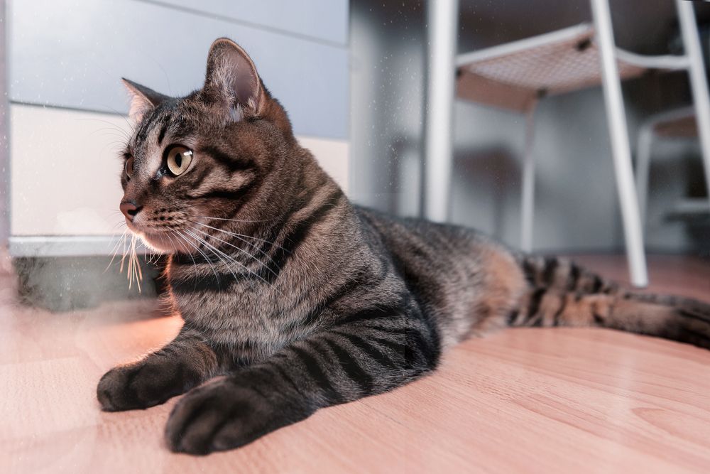 Photograph by Денис Илюхин