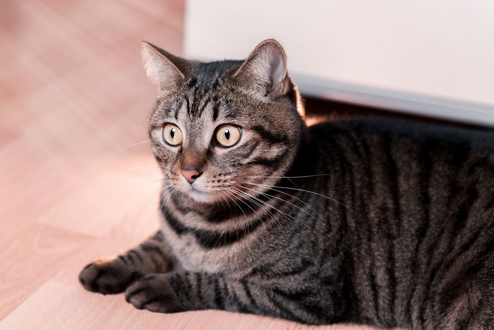 Photograph by Денис Илюхин