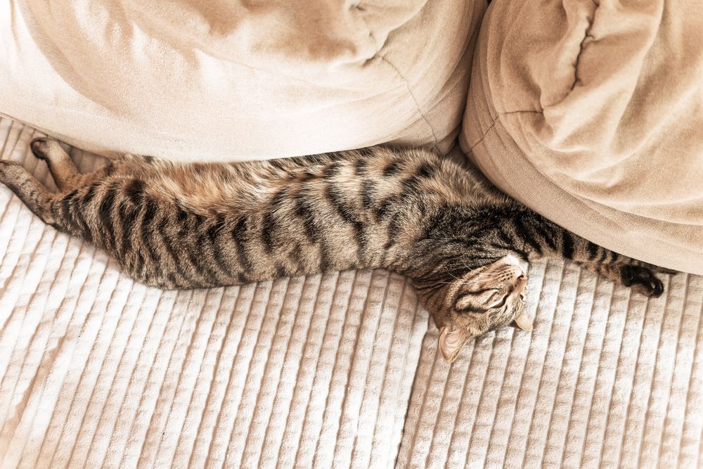 Photograph by Денис Илюхин