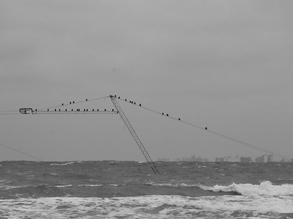 Photograph by Natalya Sedina