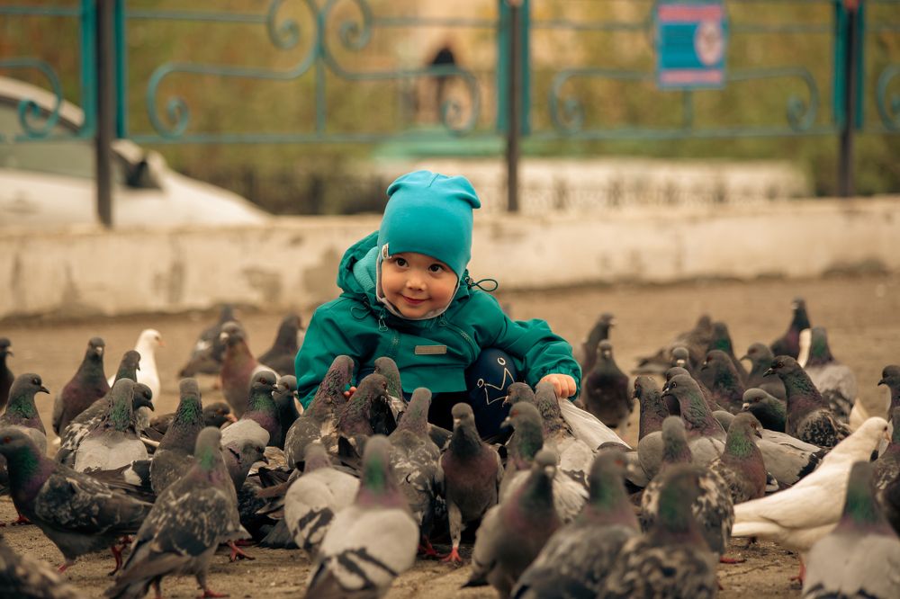 Фотография автора Andrey Mironov