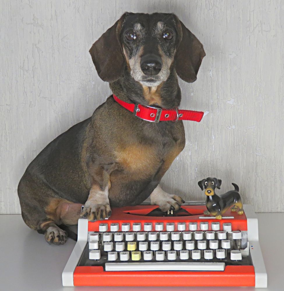 Photograph by Галина Пименова