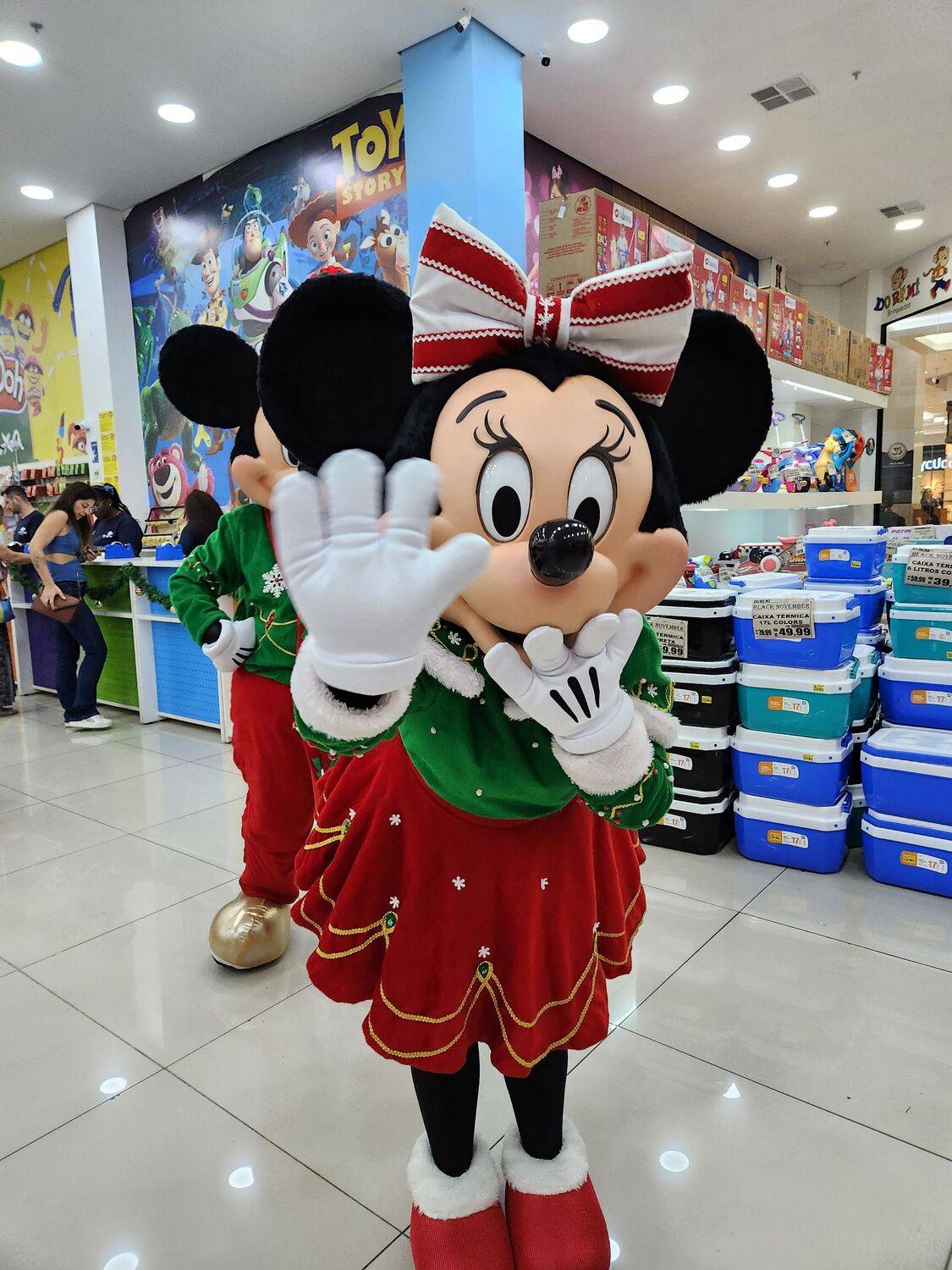 Photo #11550614