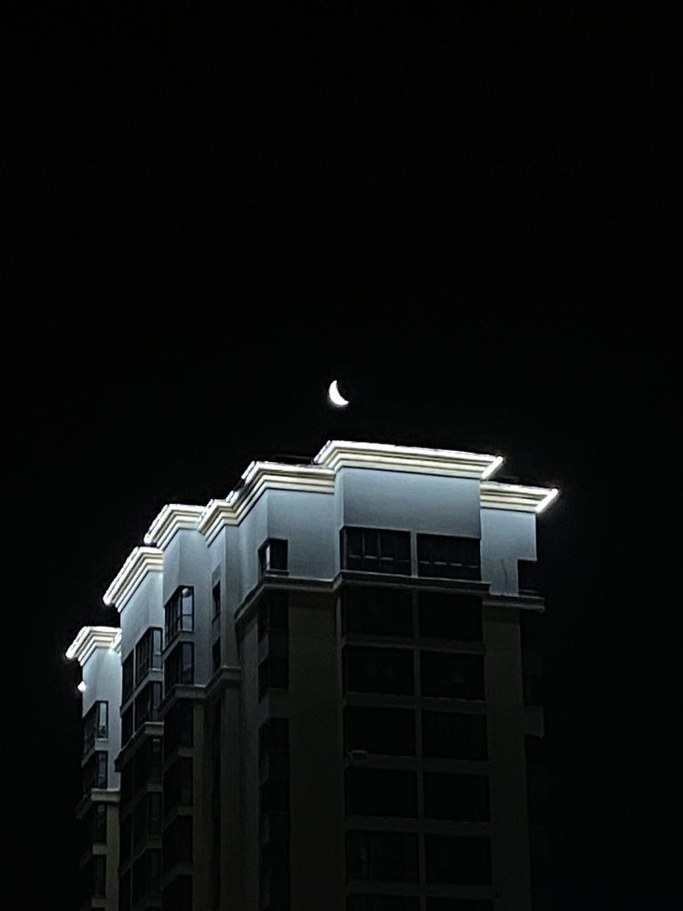 Фотография автора Meline Mikoyan