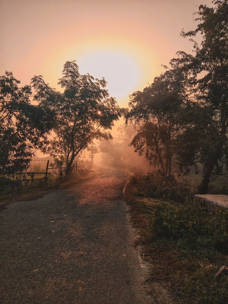 Photograph by Avinash Kumar