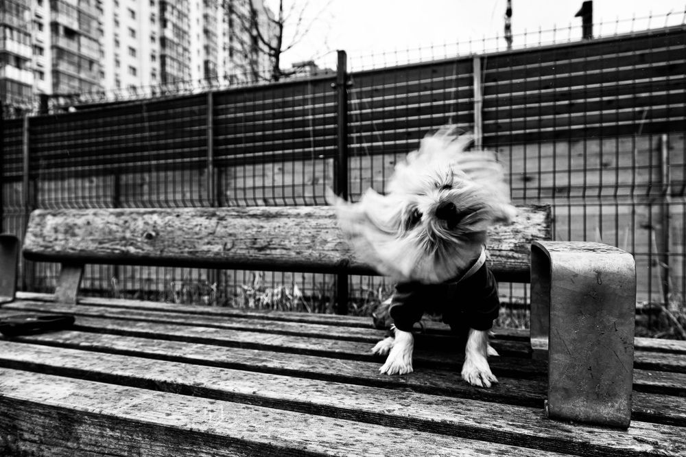 Photograph by Роман Акулов