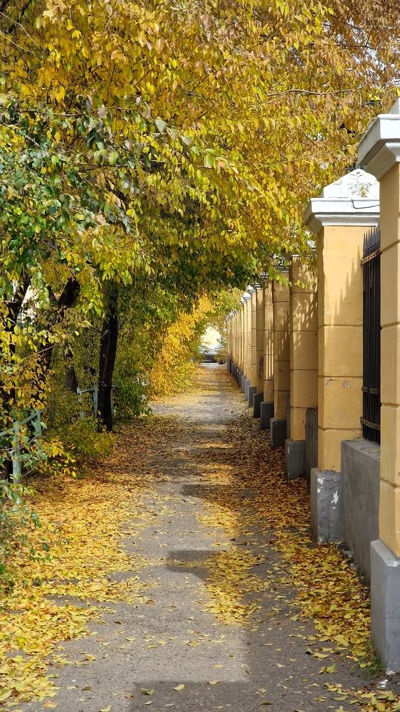 Photograph by Елена Федоткина