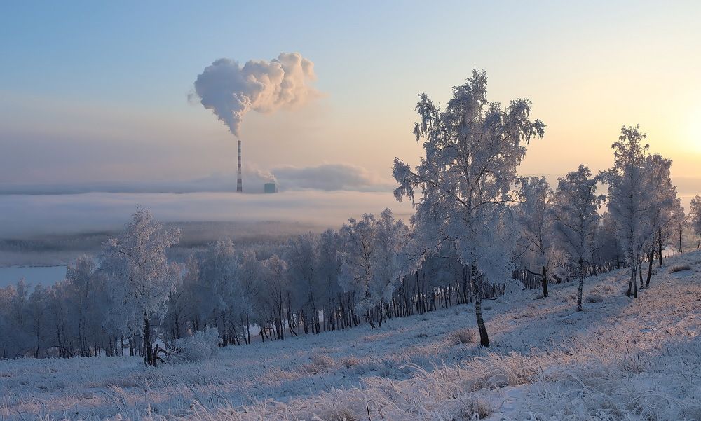 В заколдованном тумане...