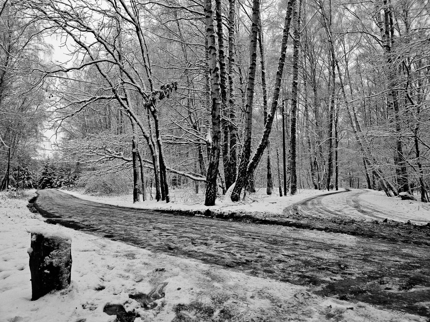 Photo #11550763