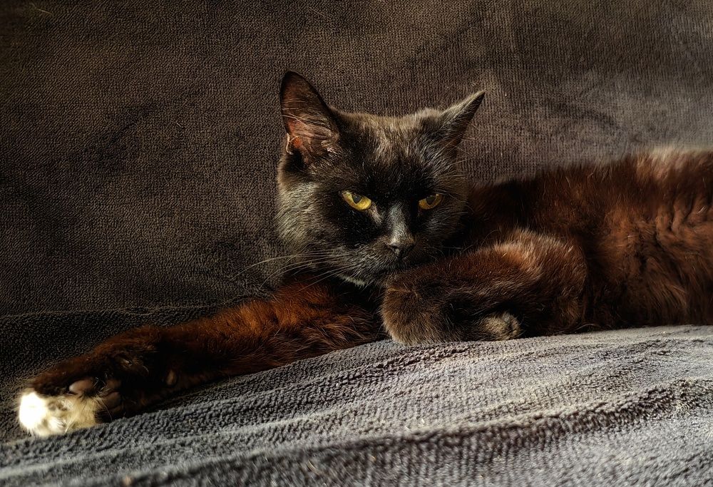 Photograph by Maiya Bulatova