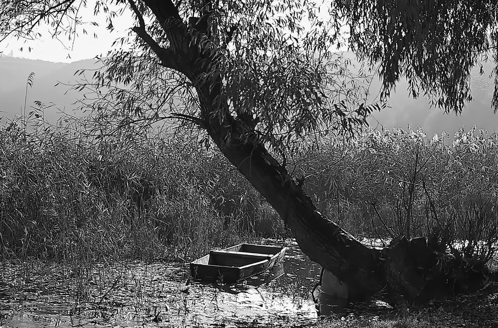 Photograph by Анатолий Святой