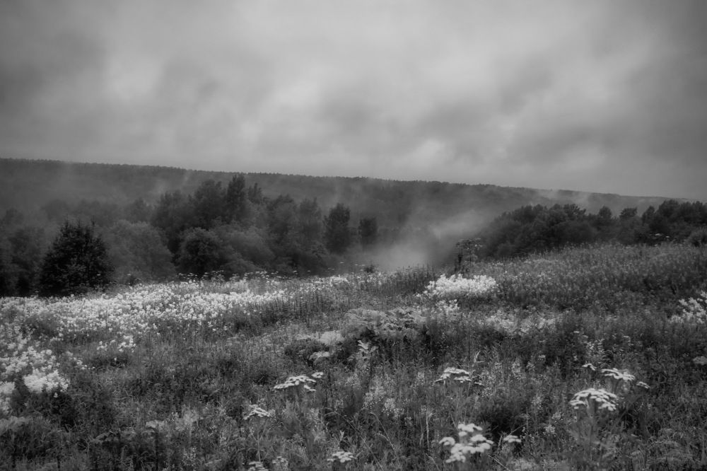 Photograph by Станислав Староверов