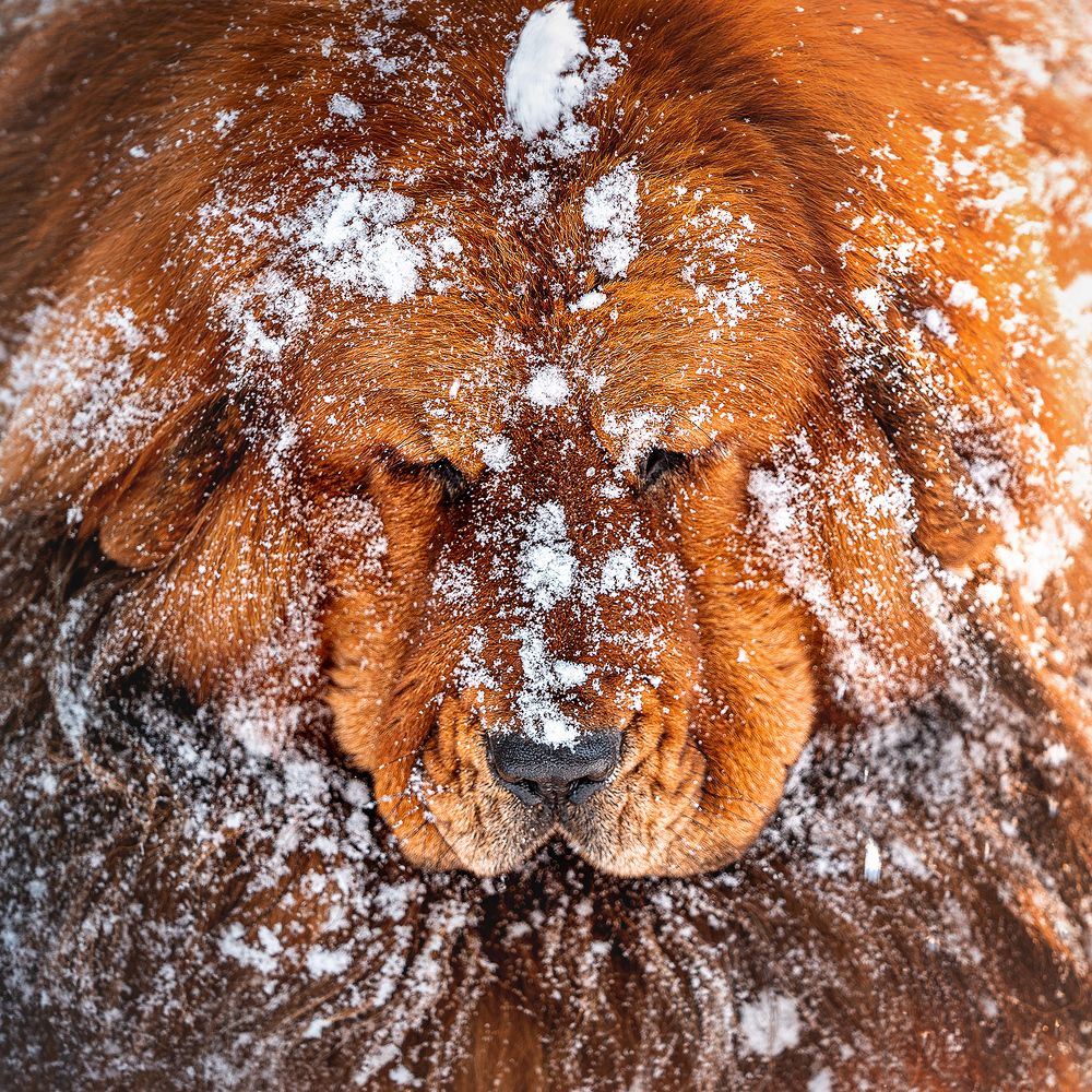 Фотография автора Оксана Серова