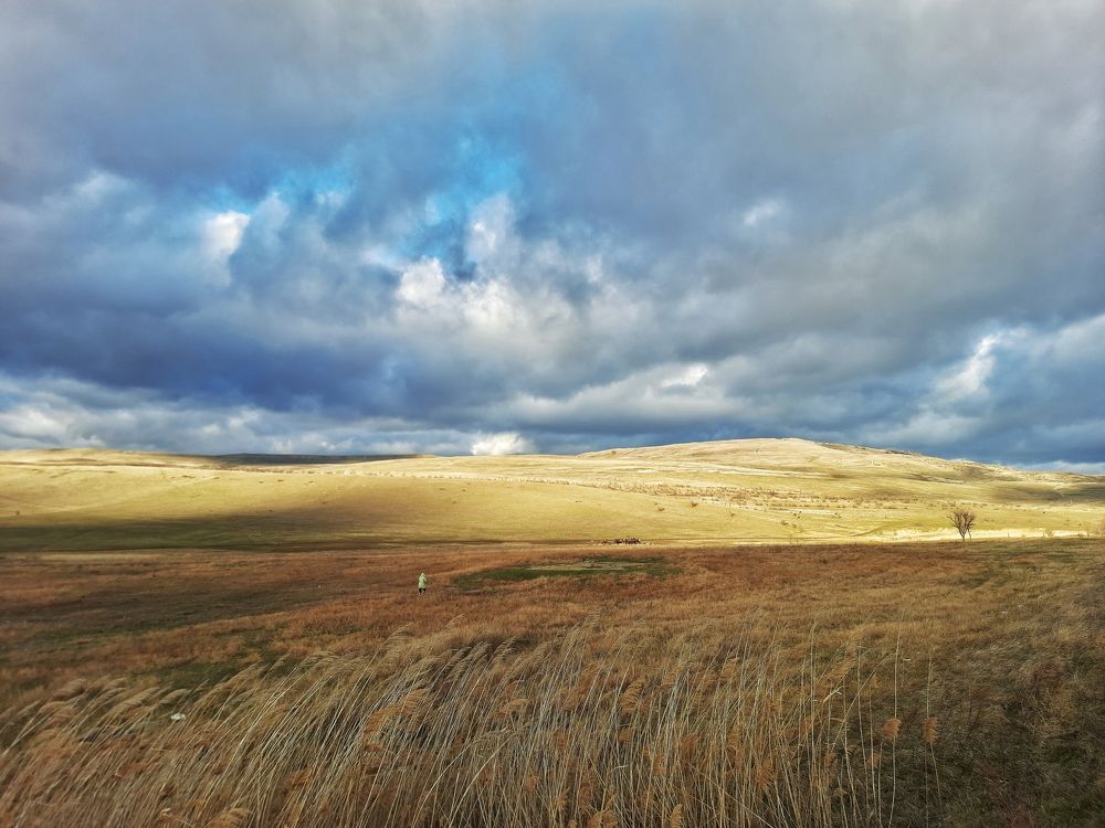 Photograph by Мария Кобыльченко