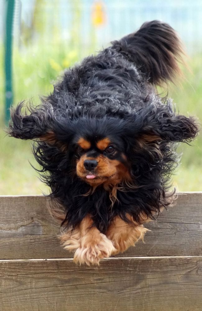 Photograph by Сергей Хохлов